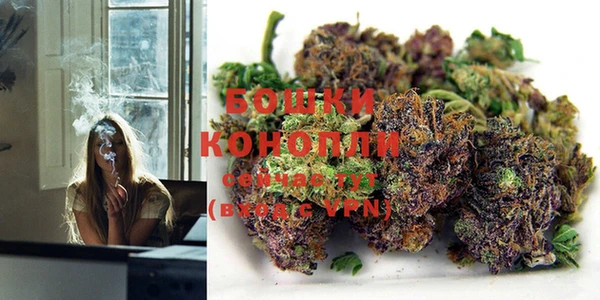 молекула духа Куйбышев